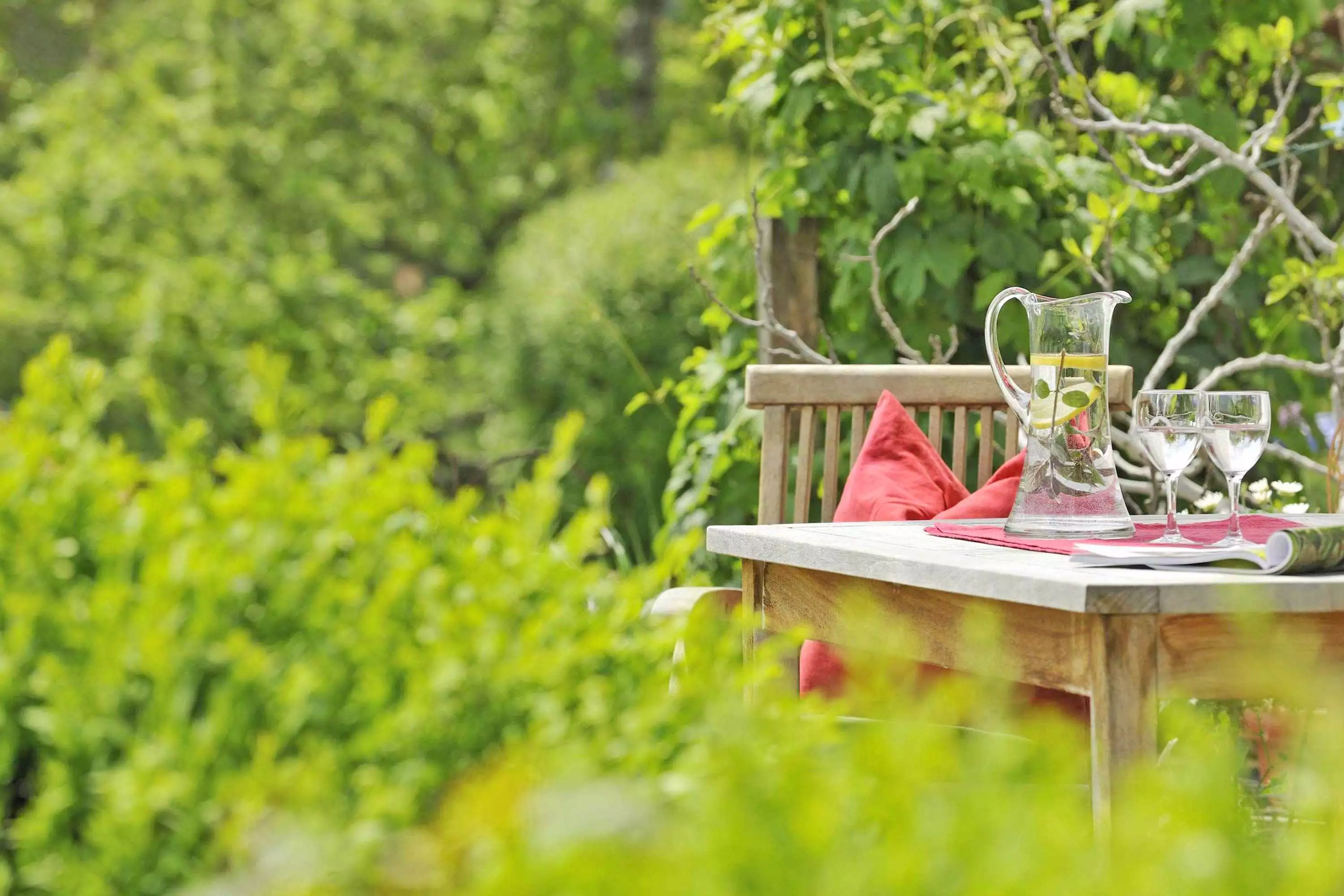 Familie Mayer Haflingerzucht Hochgalling Siegsdorf