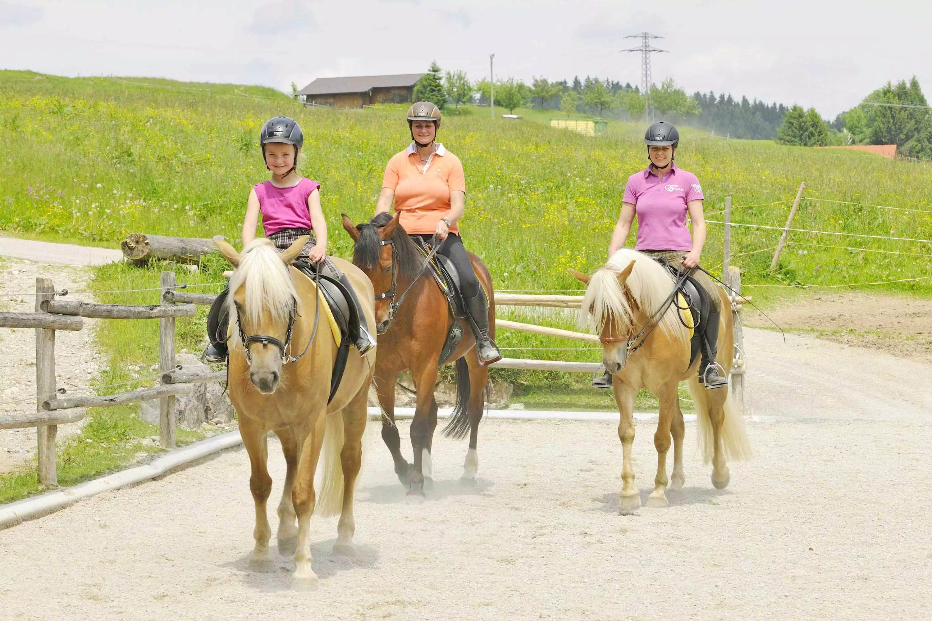 Haflingerzucht Familie Mayer Siegsdorf