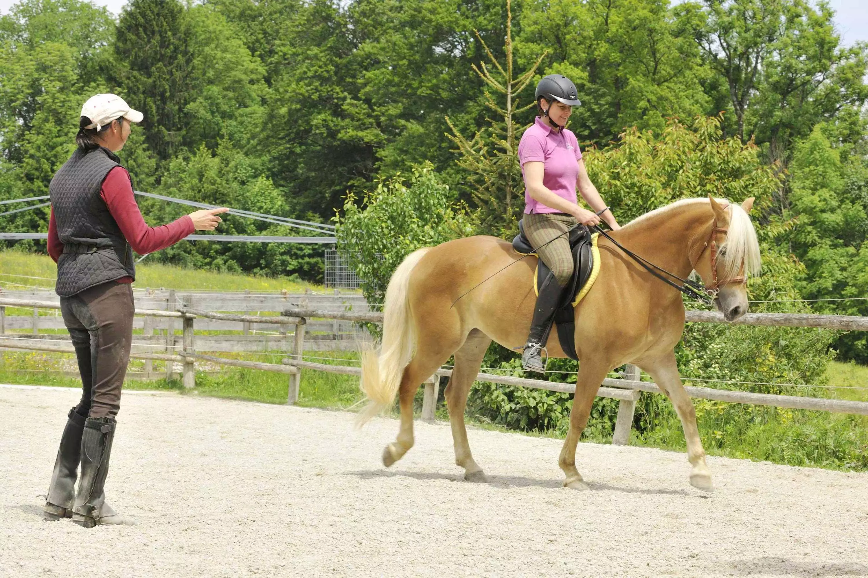 Reiten lernen am Chiemsee in Oberbayern