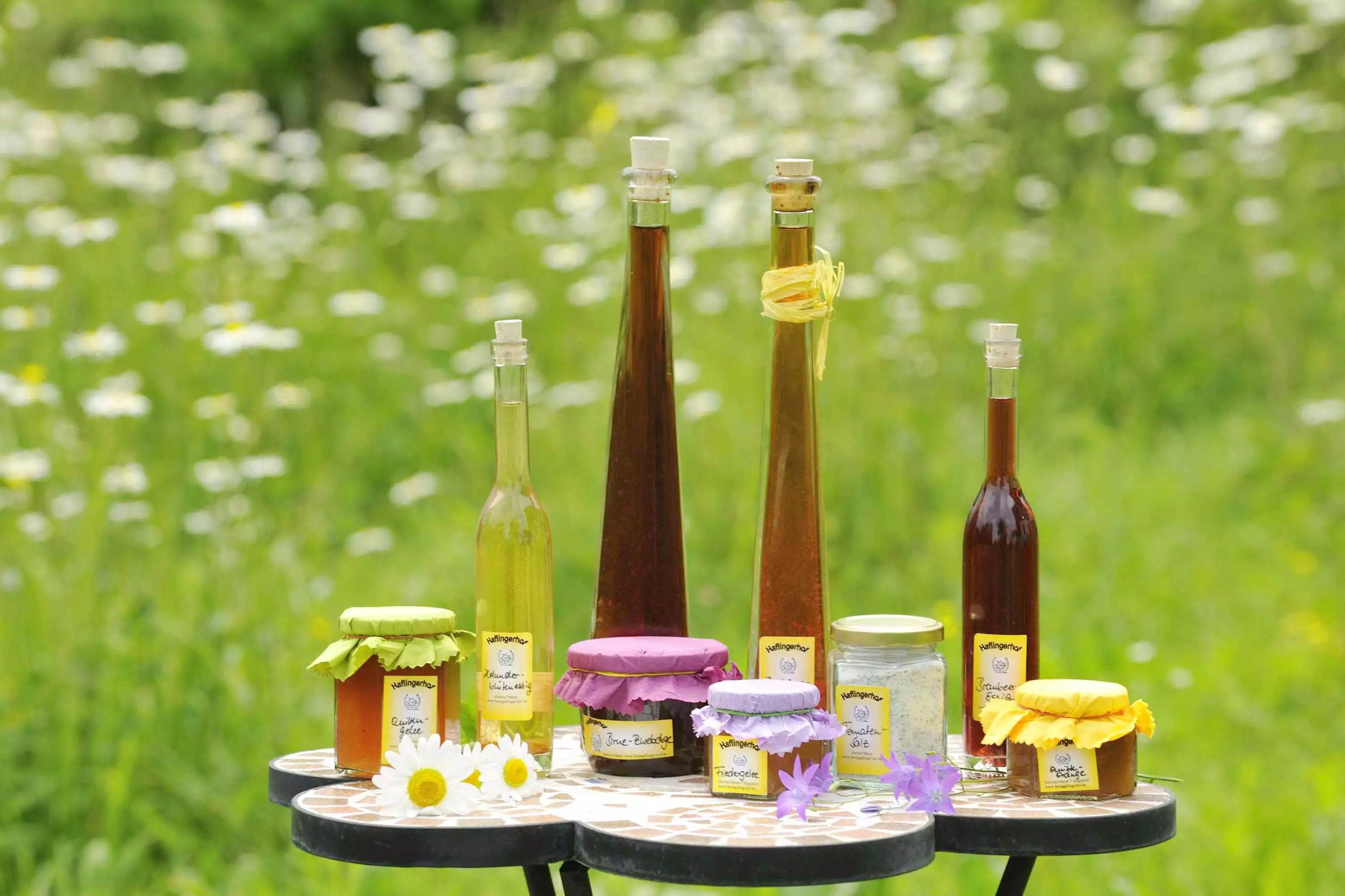 Familienurlaub auf dem Reiterhof im Chiemgau