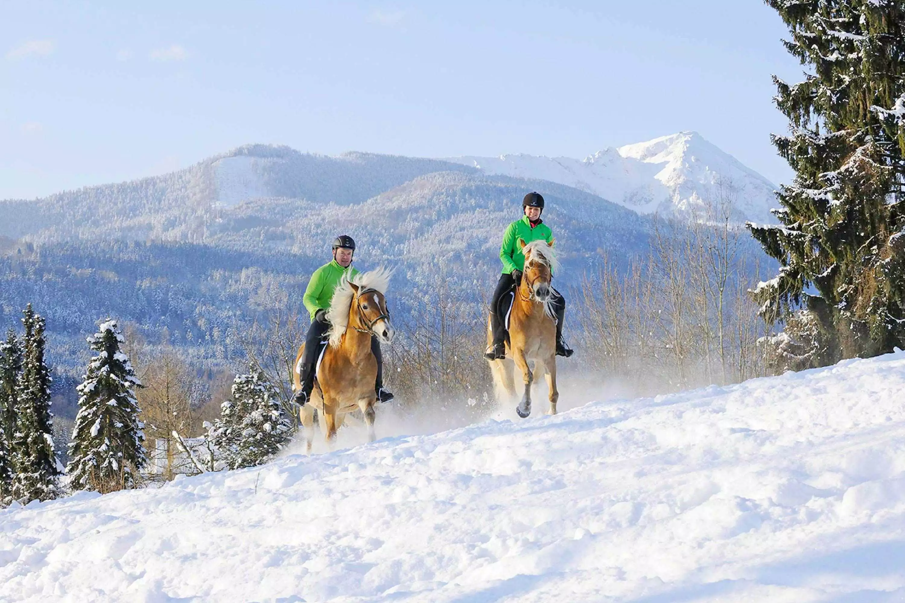 Winterurlaub am Reiterhof