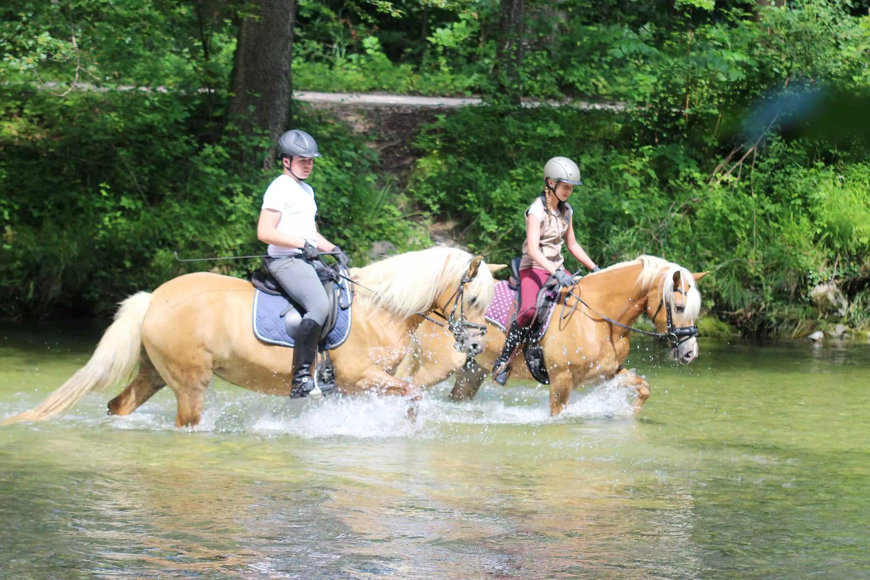 Aktivitäten im Urlaub am Hochgallinger Hof