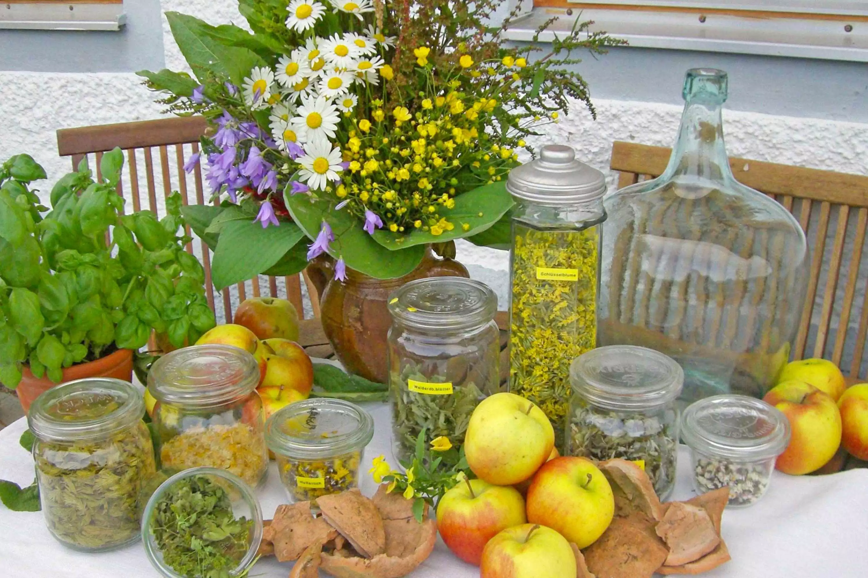 Pferdefreunde im Urlaub auf dem Reiterhof