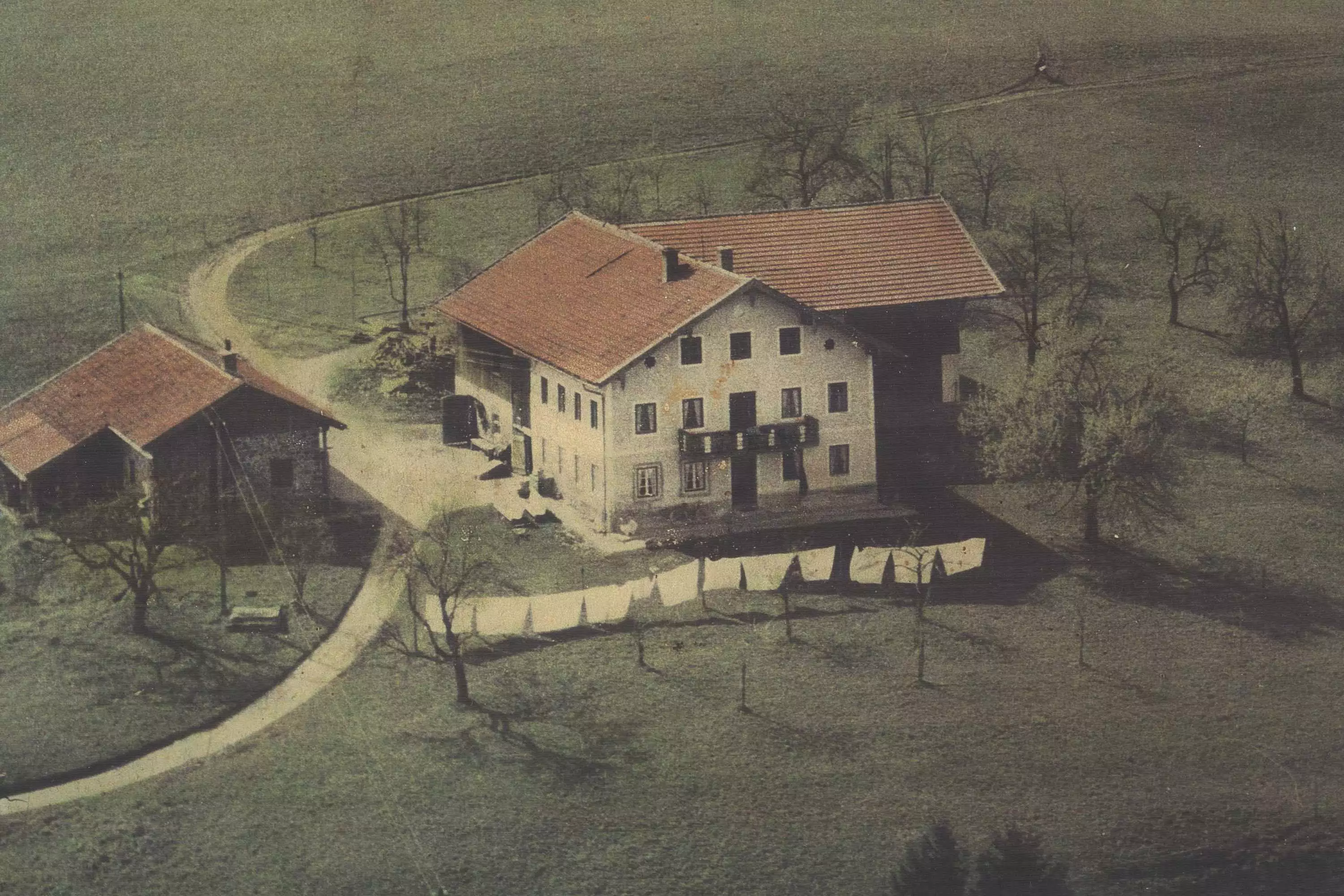 Familie Mayer Haflingerzucht Hochgalling Siegsdorf